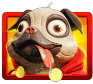 pug